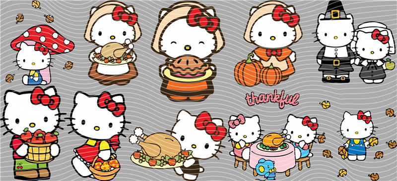 16oz Sanrio-K 302